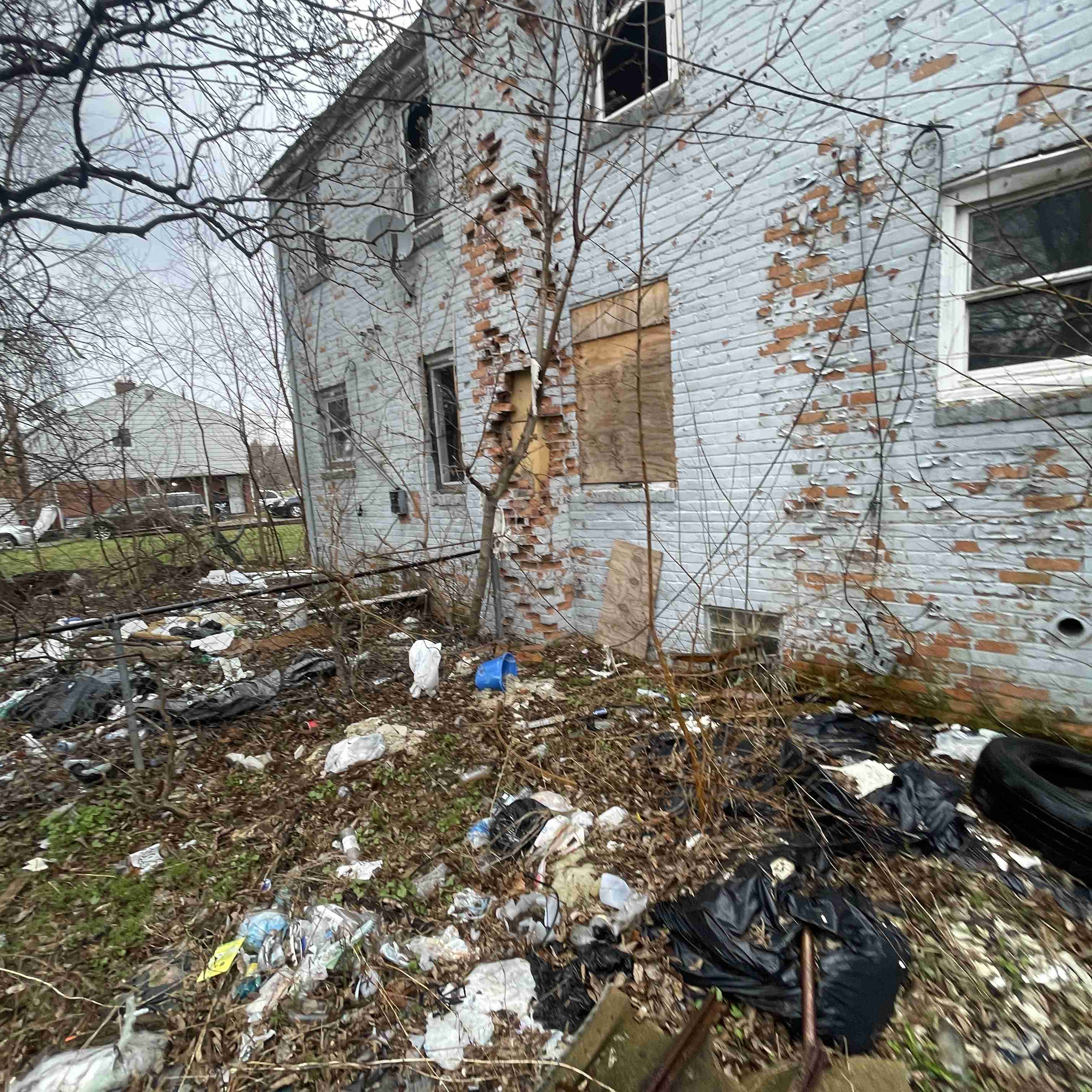 20015 Schoenherr (19).jpg